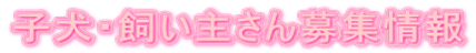 子犬・飼い主さん募集情報